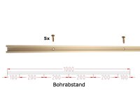 M8 C-Profil 2m Gold Edition, gebohrt, mit Schrauben