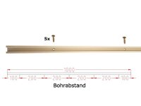 M8 C-Profil 2m, gebohrt, mit Schrauben